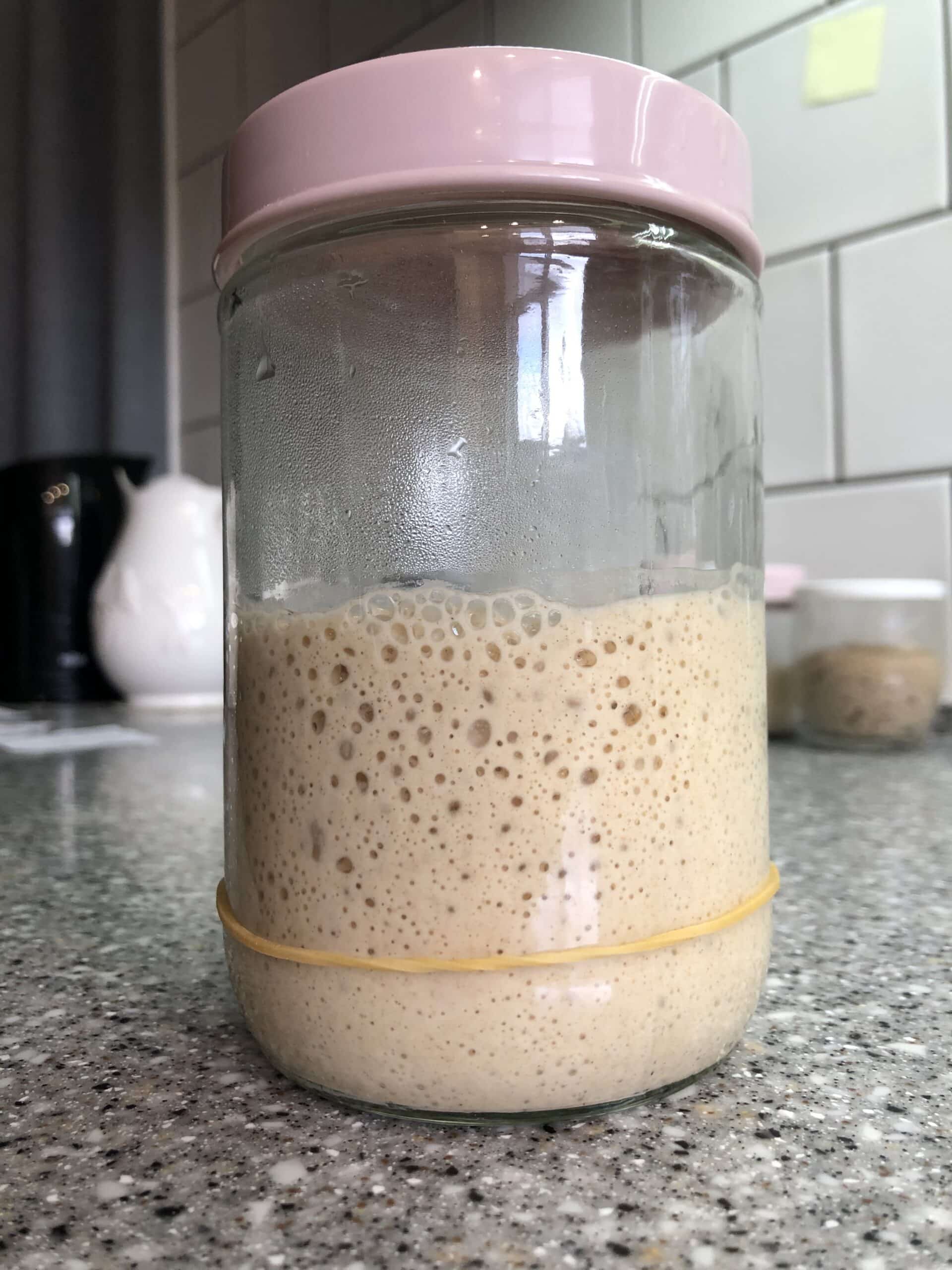 How To Make A Sourdough Starter At Home - Tips, Tricks And